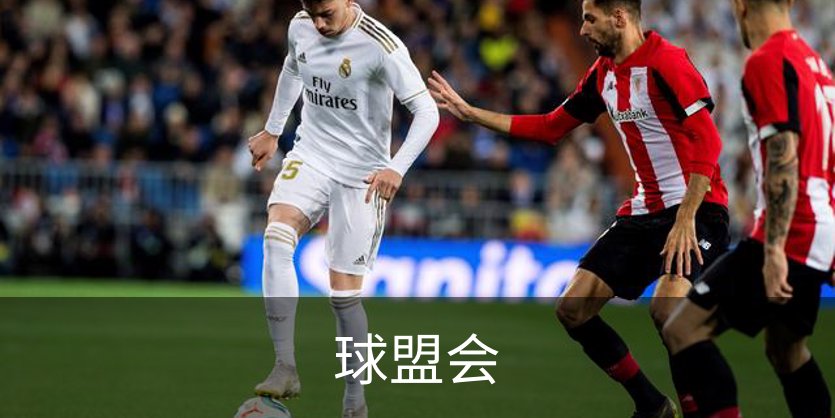 球盟会简介